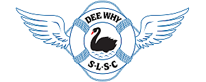 DY SLSC