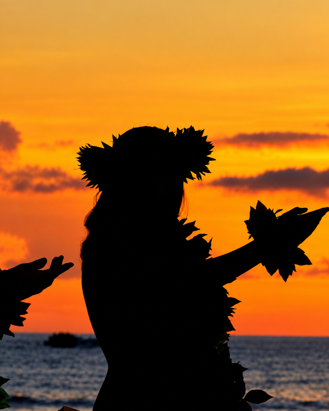 INDIGENOUS CULTURE CELEBRATION